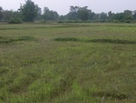34588RIMG0054.JPG