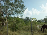 5640100_1077.JPG
