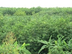 34817CIMG1468.JPG