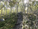 43097DSC00336.JPG