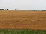 29673CIMG0963.JPG