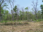 17423100_2109.JPG