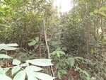 46765DSC02102.JPG