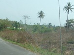 51566P1000744.JPG