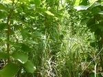 18252P1000088.JPG