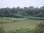 865R0015393.jpg
