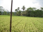 15272IMG_4096.JPG
