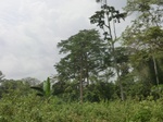 49570CIMG5907.JPG