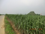 33086CIMG2321.JPG