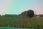 2024-08-05_14-21-45_56A1DD44-B23E-4248-8F02-4BC5B2456476.jpeg