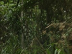 48909CIMG5246.JPG
