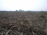 27753RIMG0031.JPG