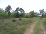 34541RIMG0006.JPG