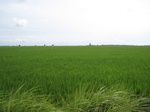 14303IMG_4643.JPG