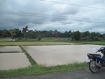 33296IMG_5626.JPG