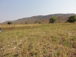 26642DSC00521.JPG