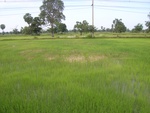 33452RIMG0192.JPG