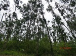 53687CIMG7078.JPG