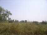9049RIMG0127.JPG
