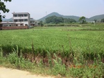 53878CIMG2896.JPG