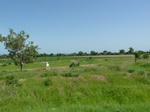 19489P1010336.JPG