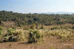 43660pic1.jpg