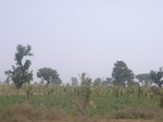 9059RIMG0139.JPG