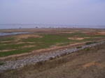 3309R0017343.JPG