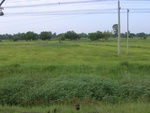 33451RIMG0191.JPG