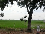 31610CIMG1476.JPG