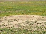 30110CIMG0192.JPG