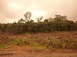 54846Berau (135).JPG