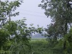 4612007-08-05_09-29-44_small.jpg