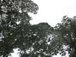 47907CIMG4244.JPG