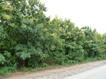 18320P1000156.JPG