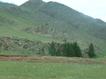 23933P1050034.JPG