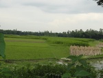 21926DSC00175.JPG