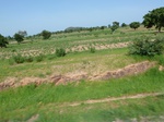 19452P1010299.JPG