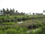 15551IMG_4621.JPG
