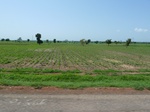 19522P1010369.JPG