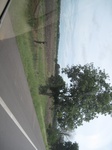 26667IMG_2951.JPG