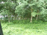 25502P1020347.JPG