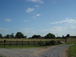 32557p208.jpg