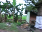 30967CIMG0828.JPG