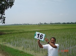 12620016a-irrigated-canal-rice-delta.gif