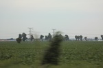 2024-08-05_16-08-58_AC5DD1C4-33C7-4442-9578-B01FFCC29BFB.jpeg