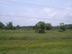 28239RIMG0239.JPG