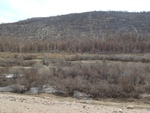 22269P1010404.JPG