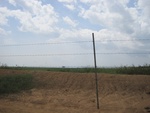32160IMG_0711.JPG