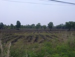 28092RIMG0147.JPG